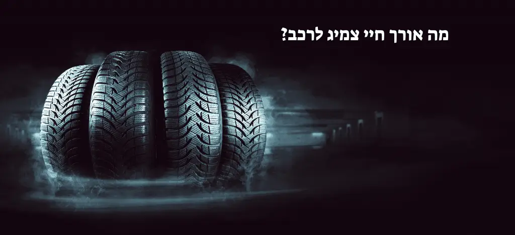 אורך חיי צמיג
