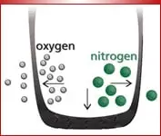 איור שמתאר אטומי חנקן וחמצן בצמיג